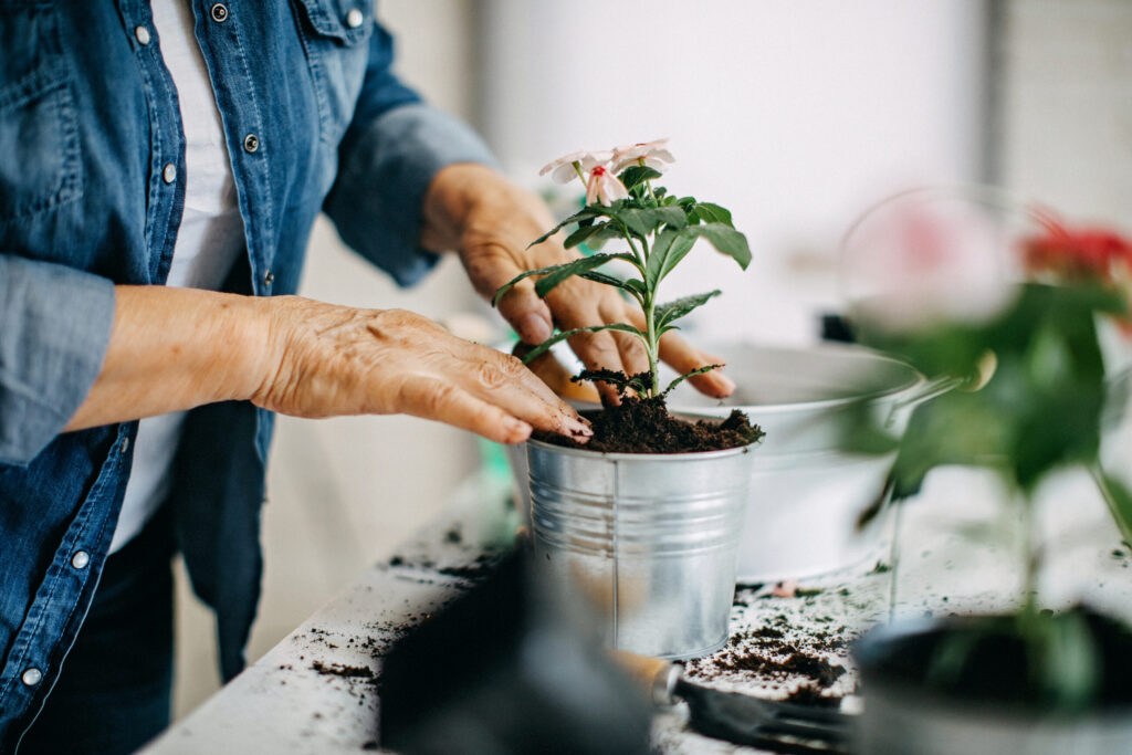 GROW WELL, LIVE WELL: THE BENEFITS OF GARDENING FOR OLDER ADULTS